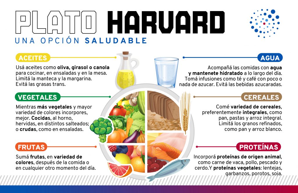 El plato de Harvard: descubre cómo puede mejorar tu alimentación.